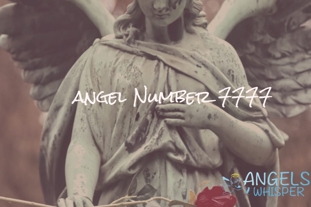 angel number 7777
