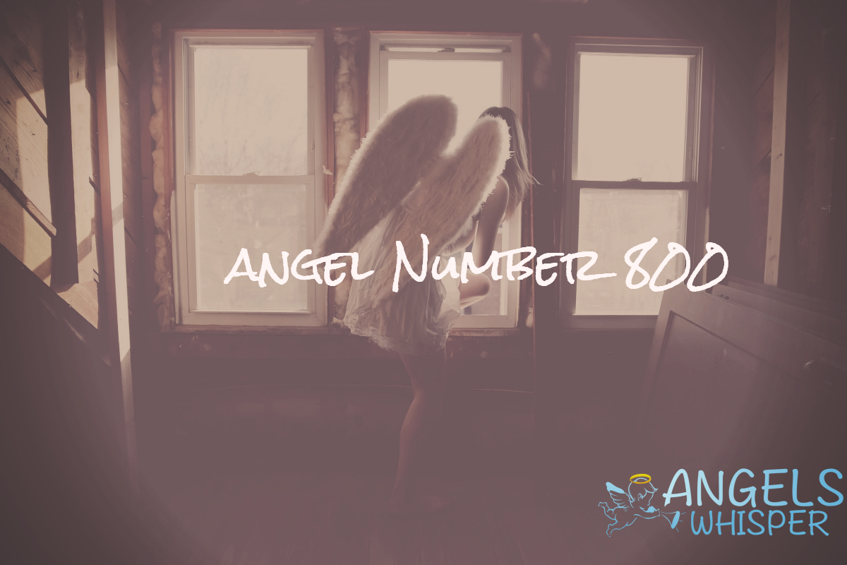 Angel Number 800