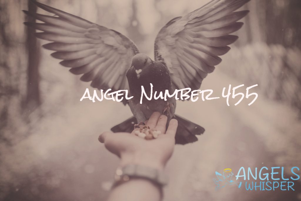 angel number 455