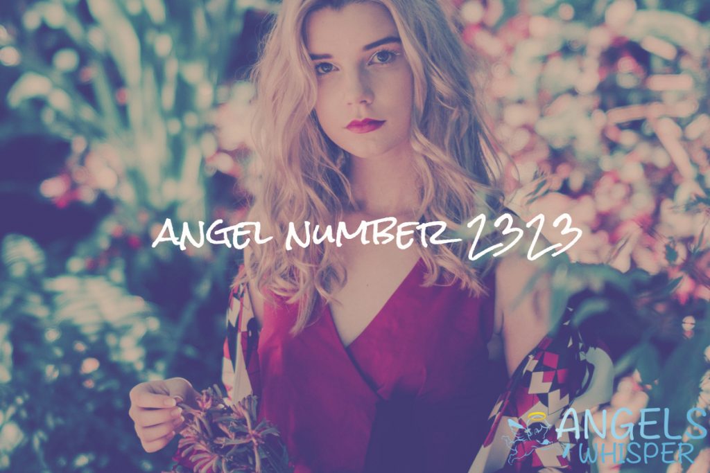 angel number 2323