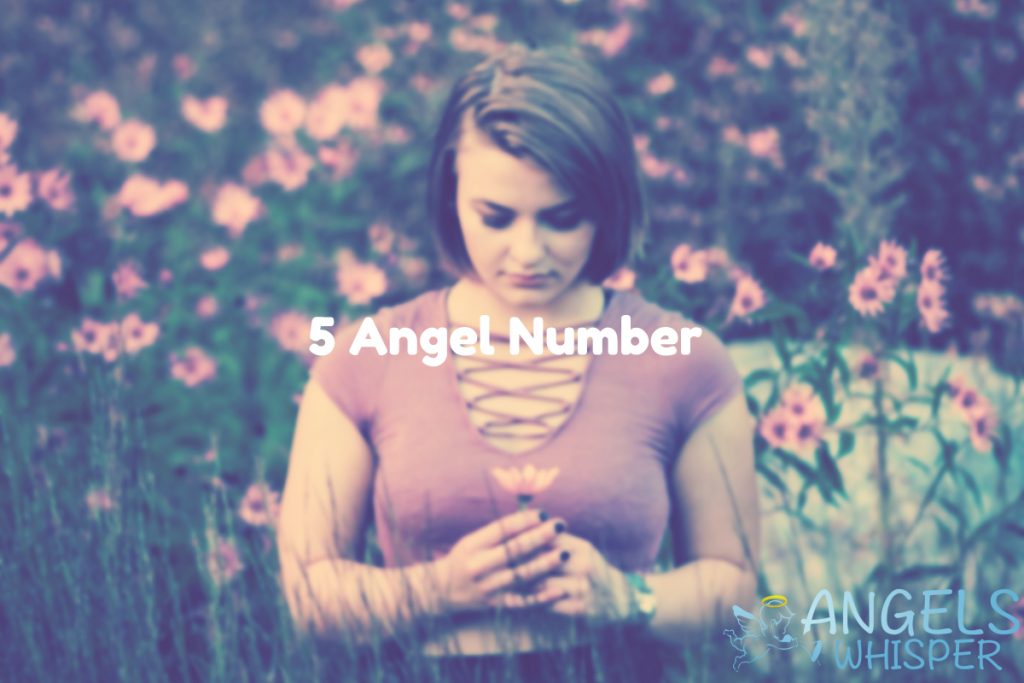 5 angel number