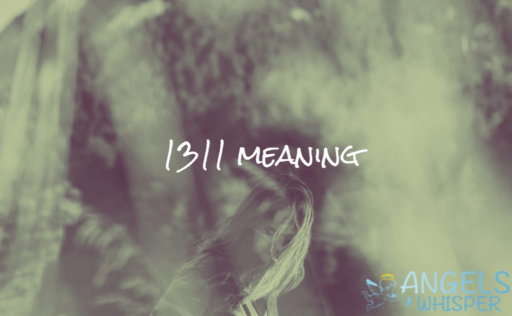 1311 meaning