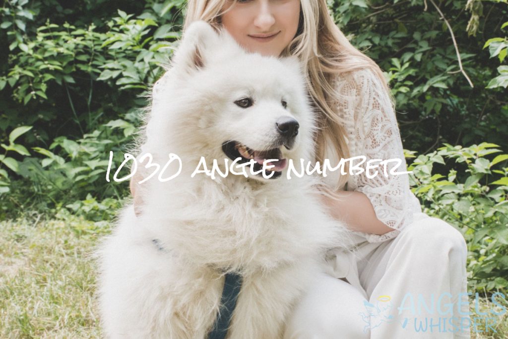 1030 angle number