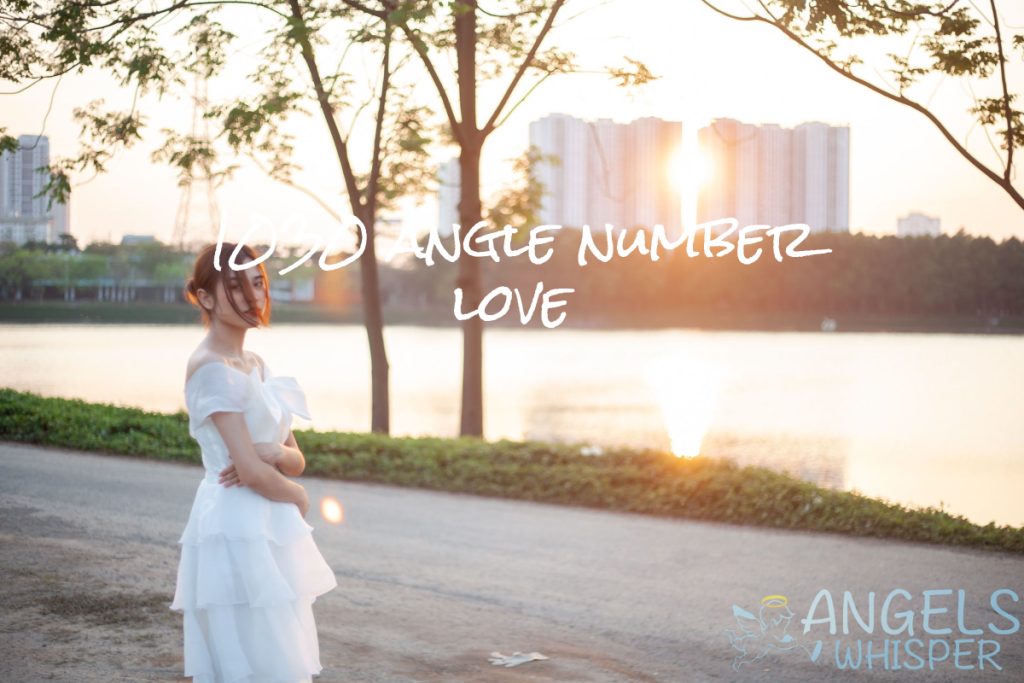 1030 angle number love
