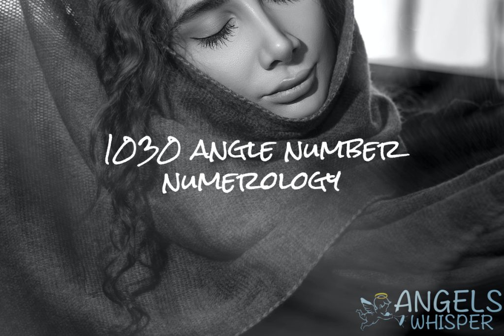 1030 angle number numerology