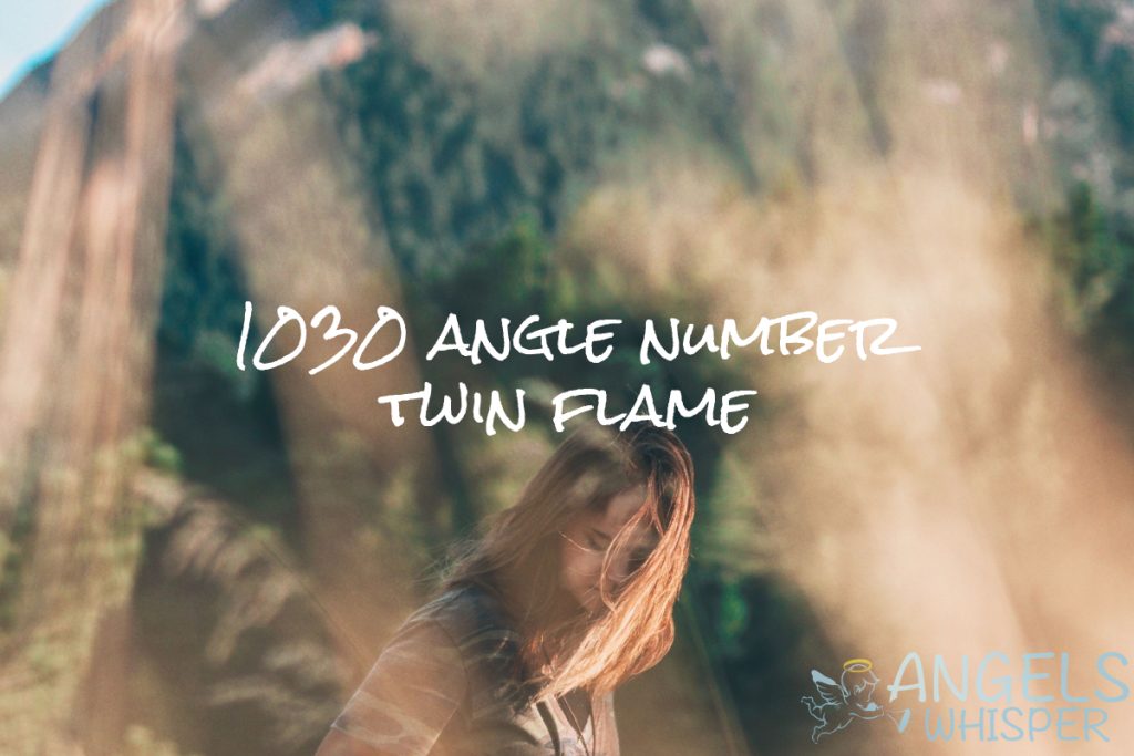 1030 angle number twin flame