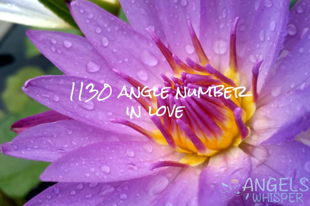 1130 angle number in love