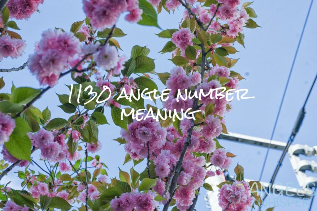 1130 angle number meaning
