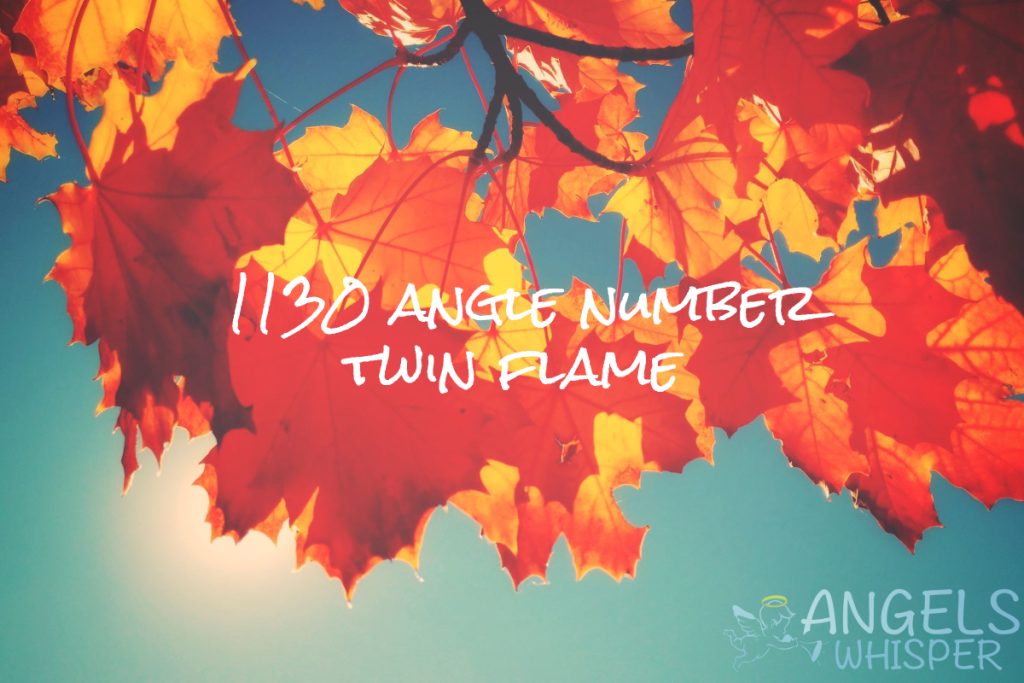 1130 angle number twin flame