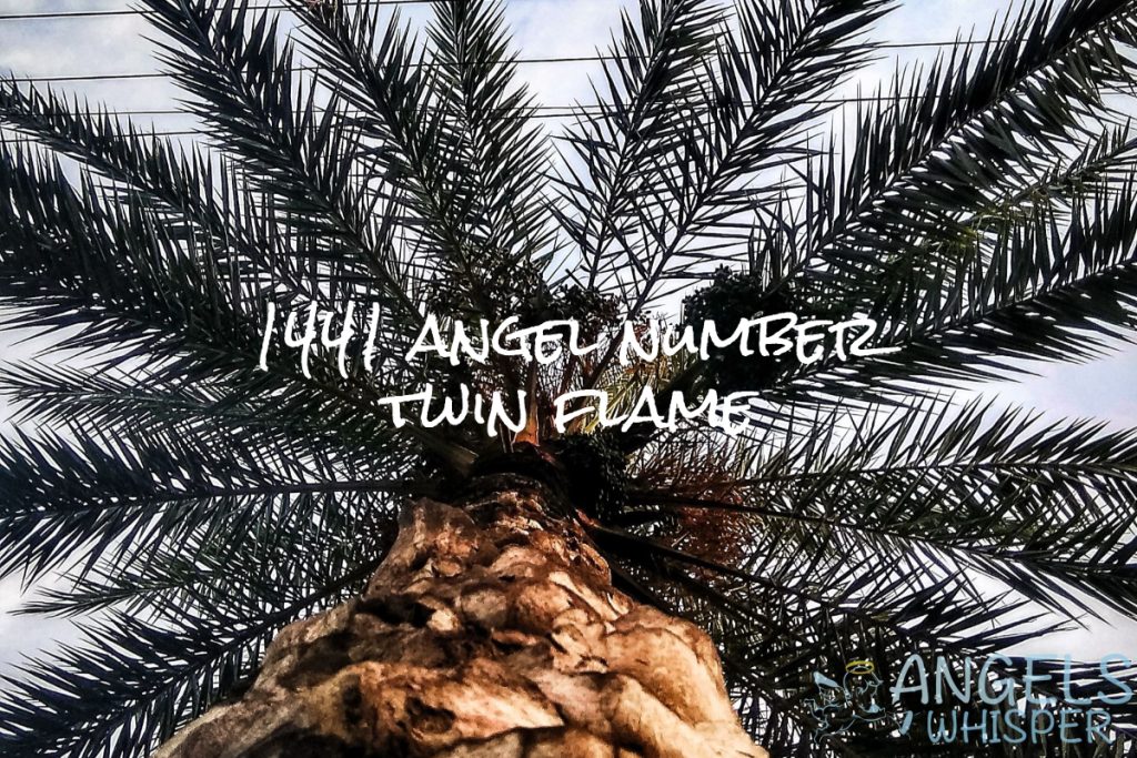 1441 angel number twin flame