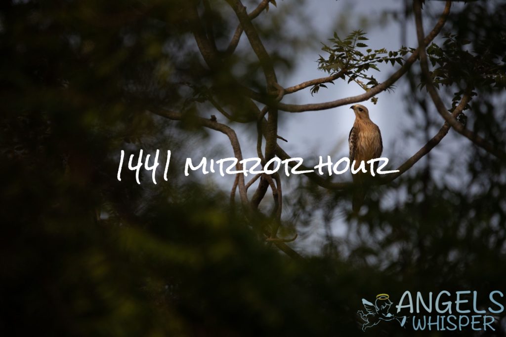 1441 mirror hour