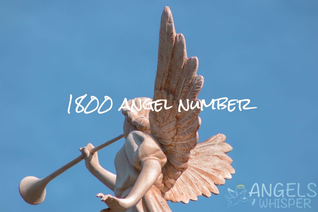1800 angel number