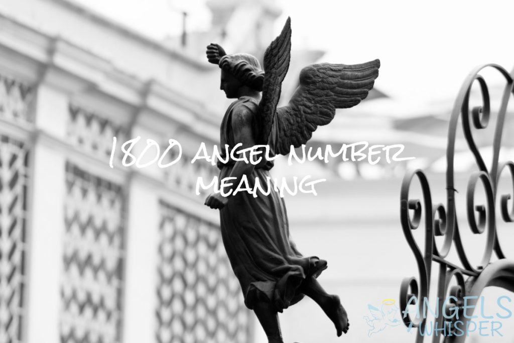 1800 angel number meaning