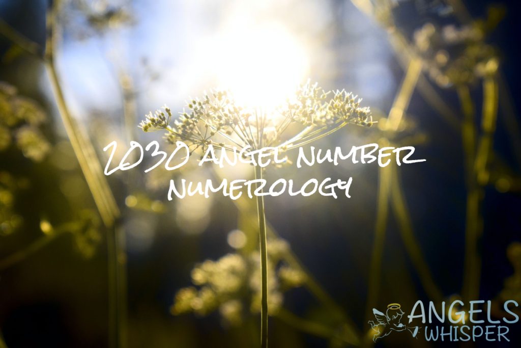 2030 angel number numerology