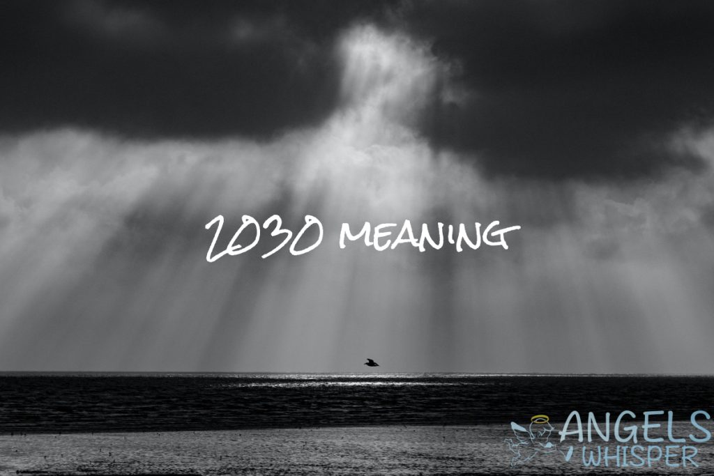 2030 meaning