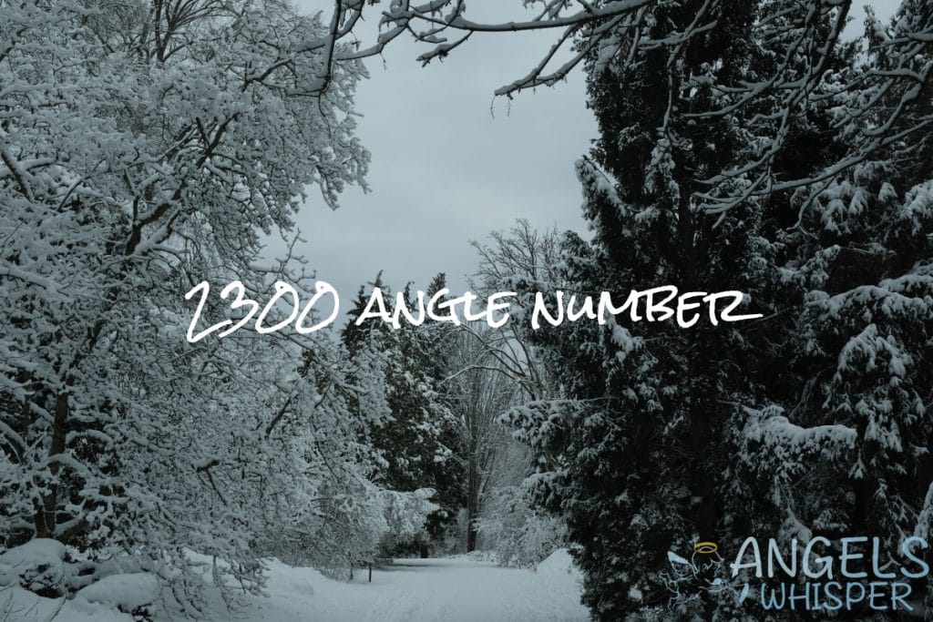 2300 angle number