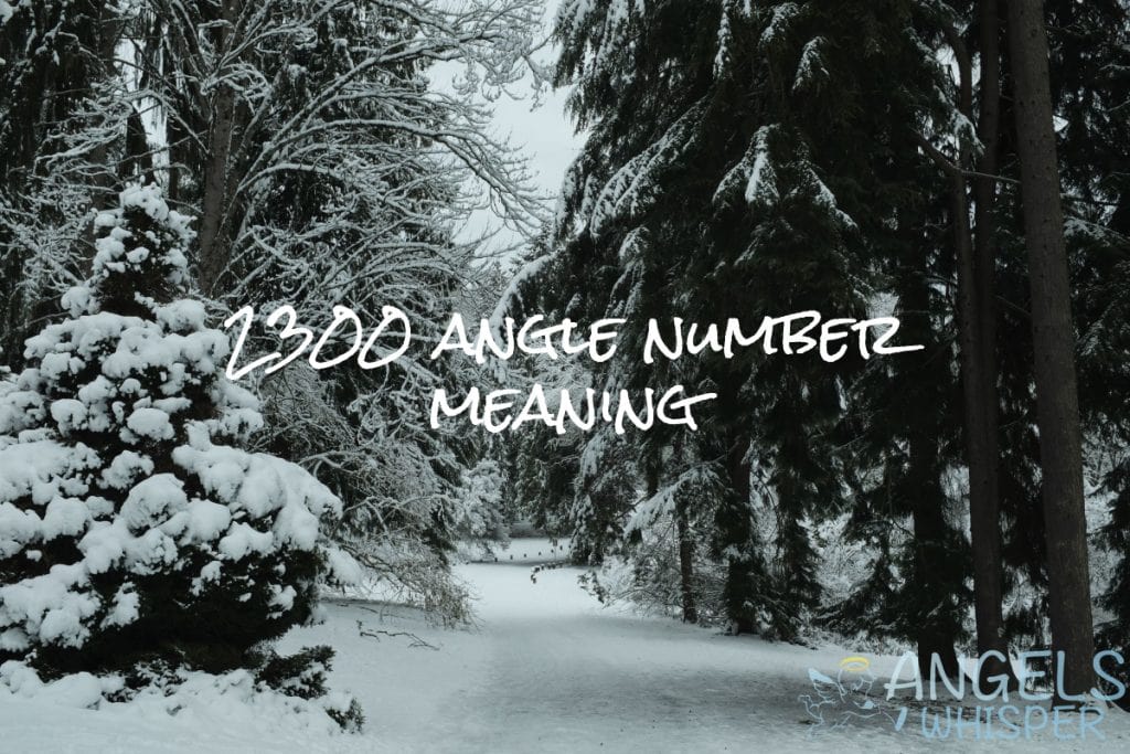 2300 angle number meaning