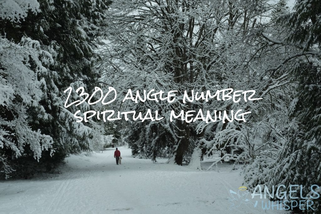 2300 angle number spiritual meaning
