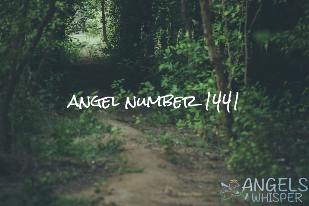 Angel number 1441