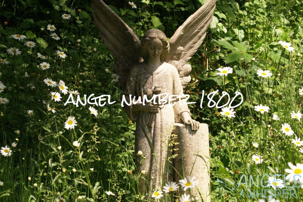 Angel number 1800