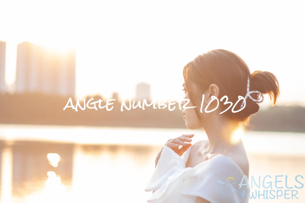 angle number 1030