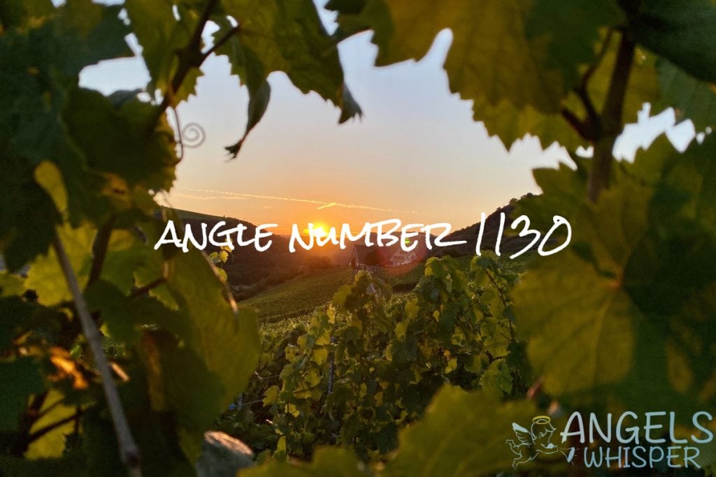 angle number 1130
