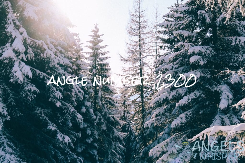 angle number 2300